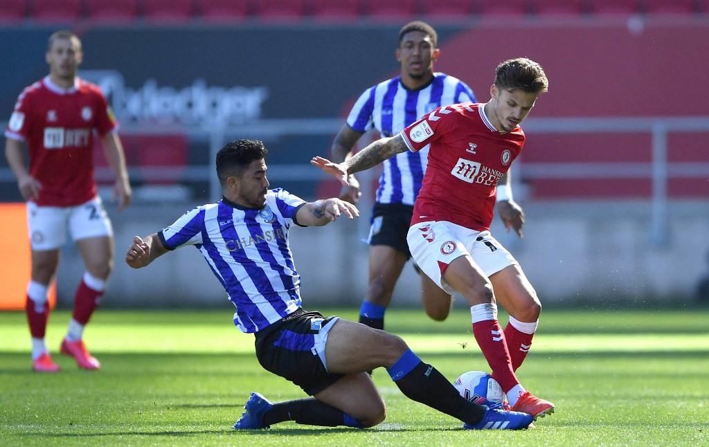 Sheffield Wednesday midfielder Massimo Luongo